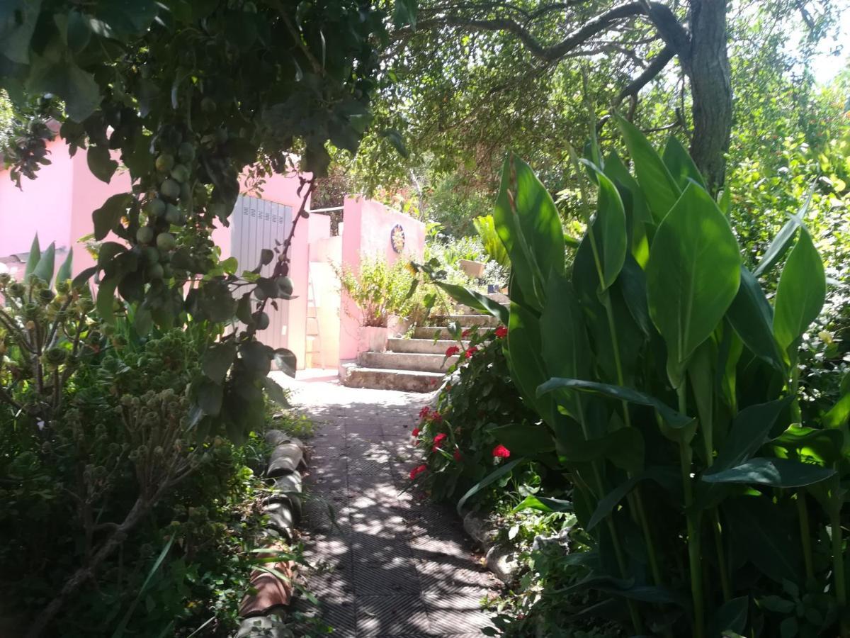 Affitta Camere Casa Delle Rose Villanova Monteleone Esterno foto